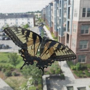 Meet your Posher, Karen